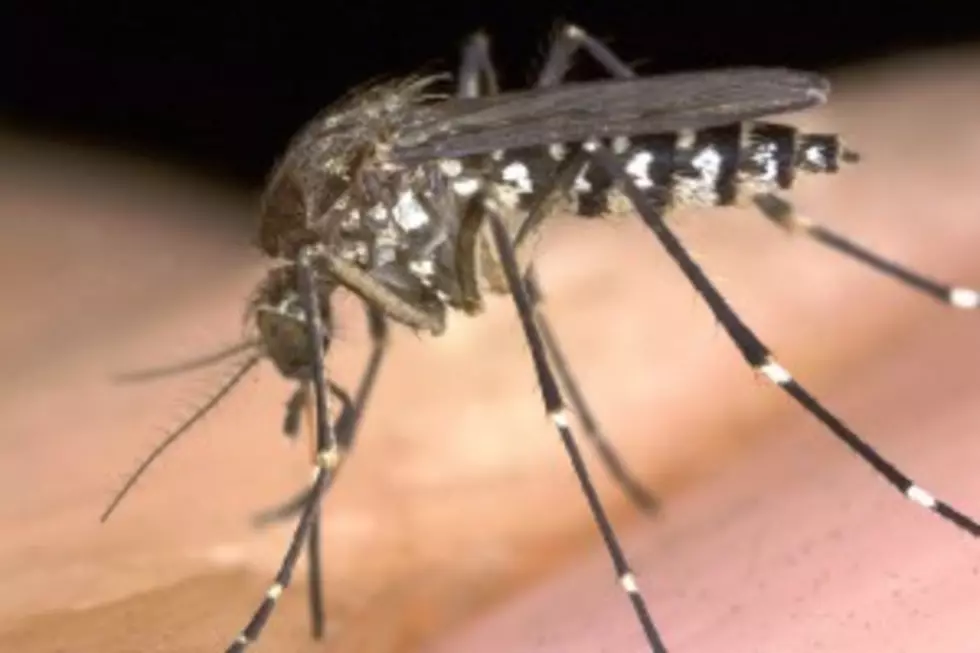 Surprise! Rains May Help Keep the  West Nile Virus Cases Down