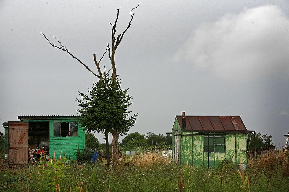 Lewis County Storage Sheds Targets of Thieves