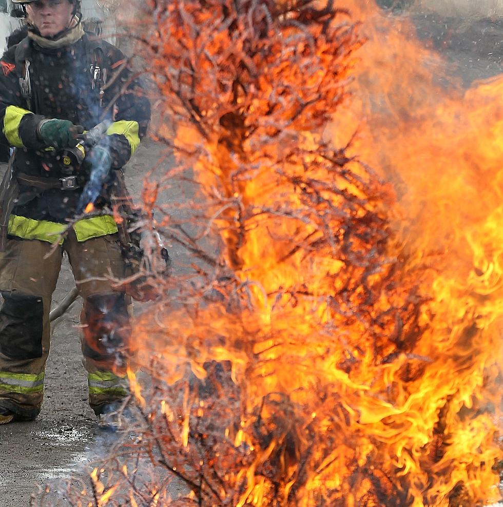 QFD to Hold a Christmas Tree Fire Demonstration at Home Depot