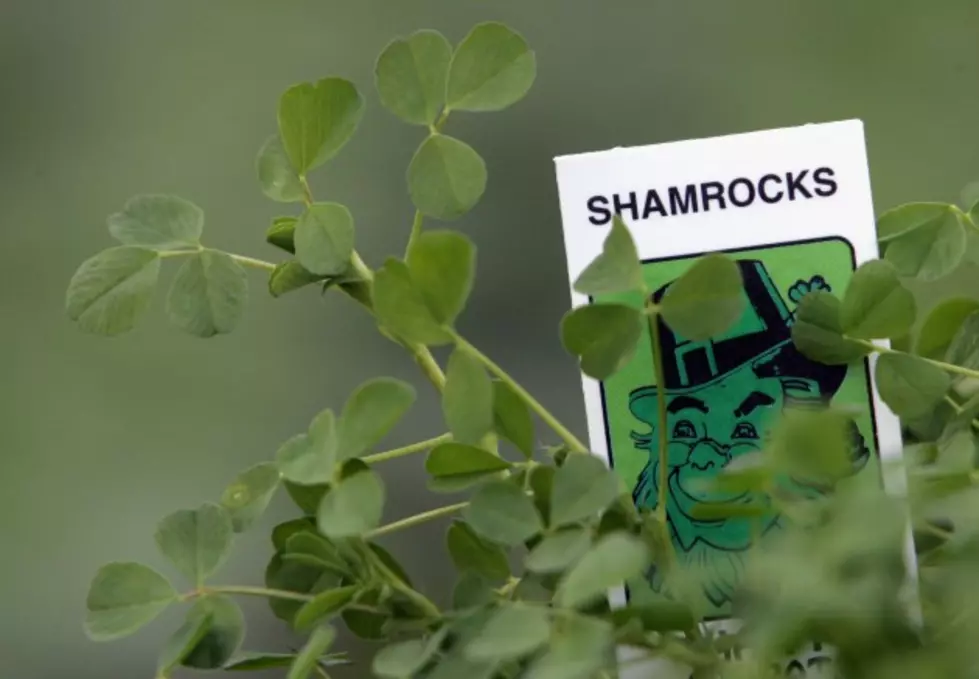 Do You Know What the Shamrock Stands For?