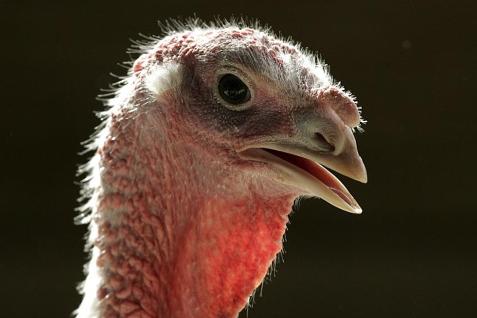 You May Talk Turkey But Do You Know It? [Quiz]