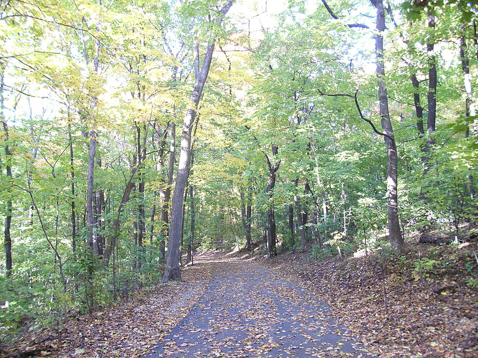 Hannibal Parks & Recreation Hosting a Nature Walk