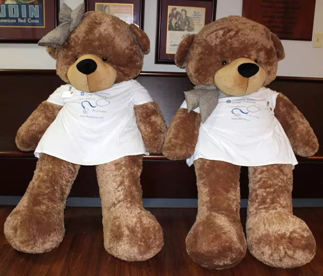 Annual Teddy Bear Clinic is October 1 at Blessing Hospital