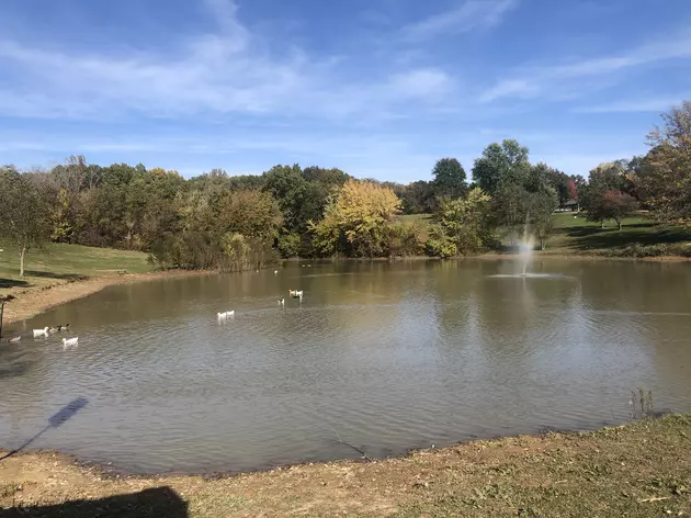 Fish Released in Hannibal&#8217;s Huckleberry Park