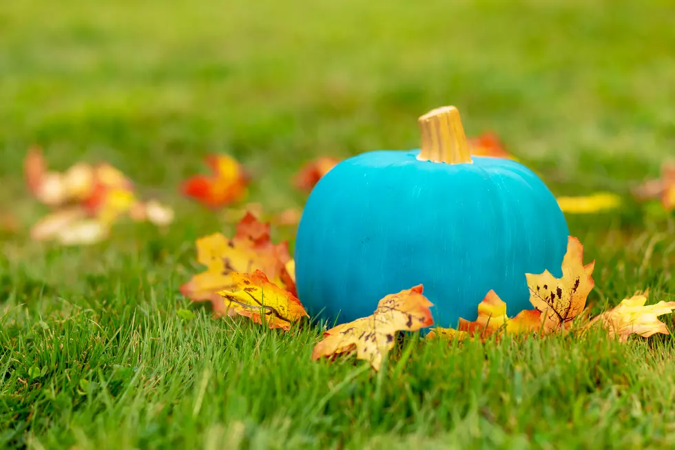 Here&#8217;s The Meaning Behind Teal Pumpkins