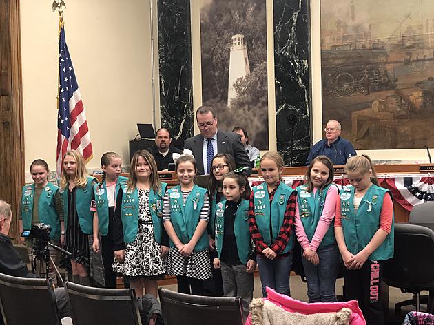 Local Scouts Honored For Rock Garden Project