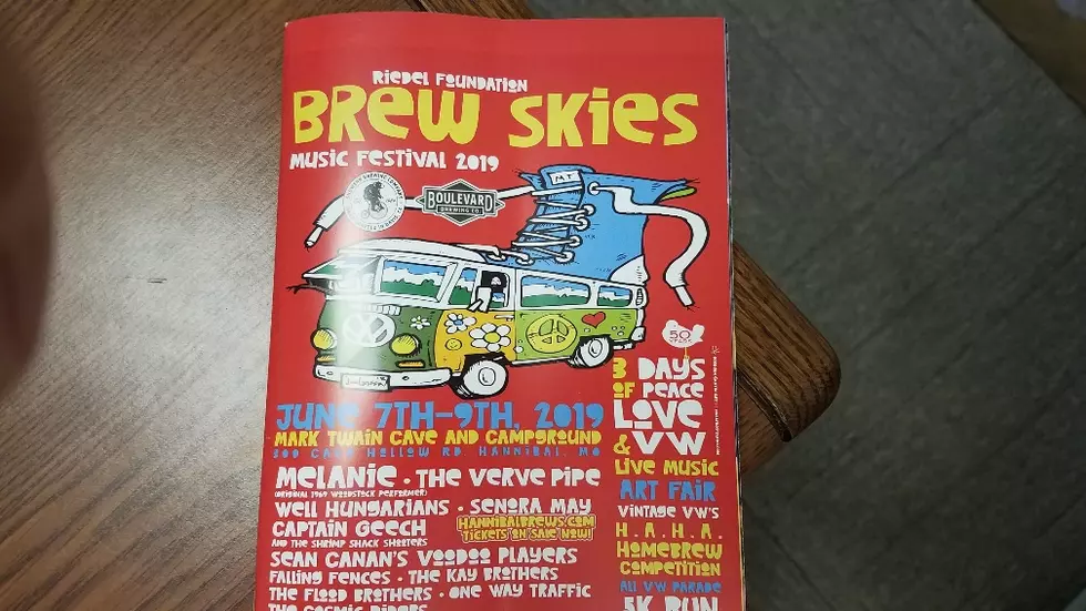 Everything You Need to Know About &#8216;Brew Skies Music Festival&#8217;