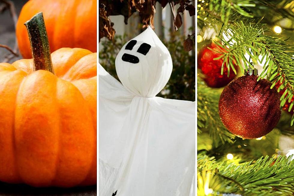 Is It Too Soon For Halloween & Christmas Decorations? Nope!