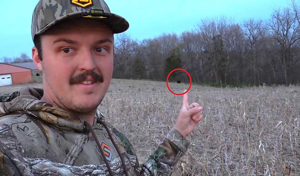 Illinois Turkey Hunter Comes Face-to-Face with a Huge Black Bear