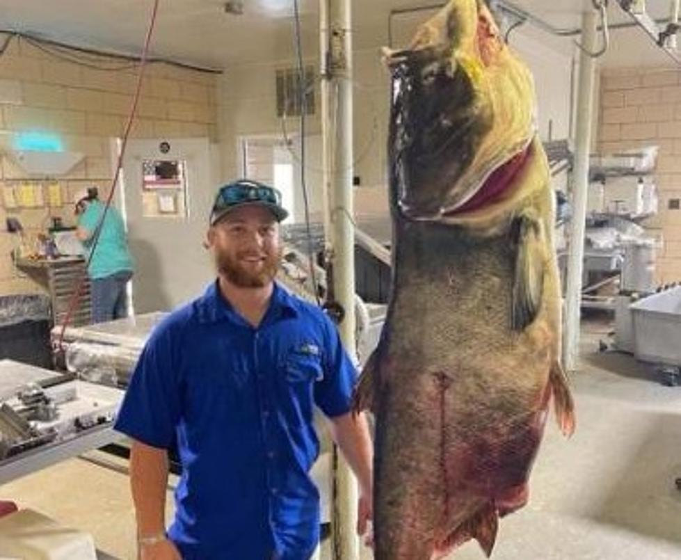 Missouri Man Just Caught a Massive World Record Carp
