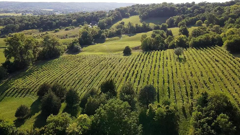 The Epic Rocky Waters Winery in Hanover, Illinois Could Be Yours