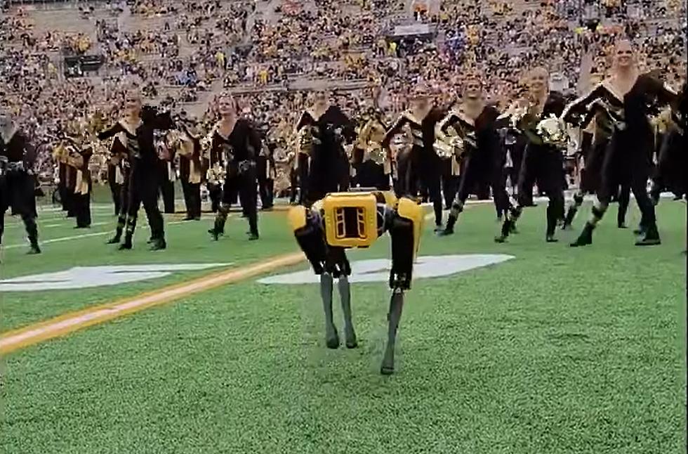 Watch Mizzou&#8217;s Robotic Dog that Really Did Perform at Halftime