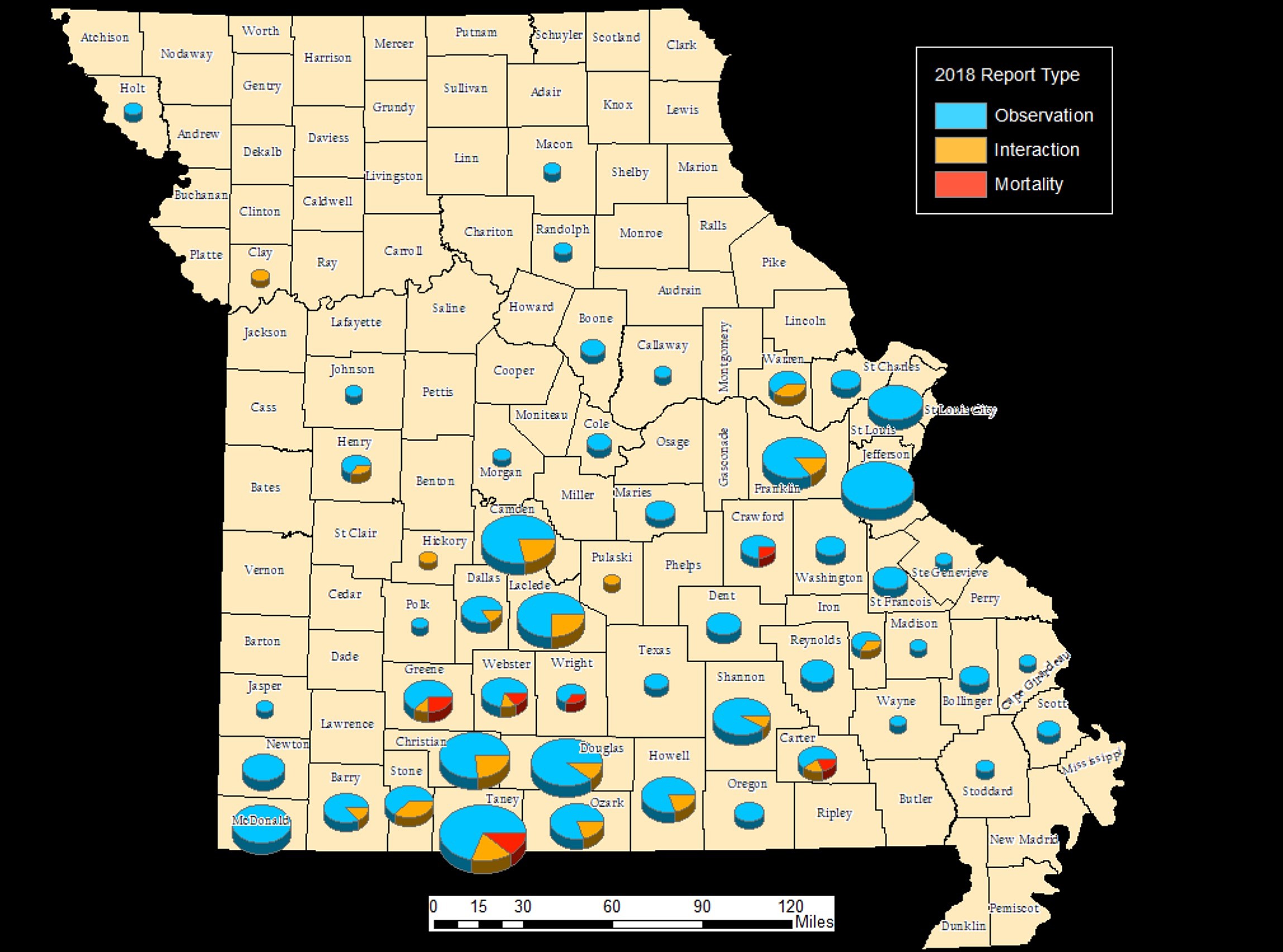 Whatever Happened to Missouri's Black Bear Project?