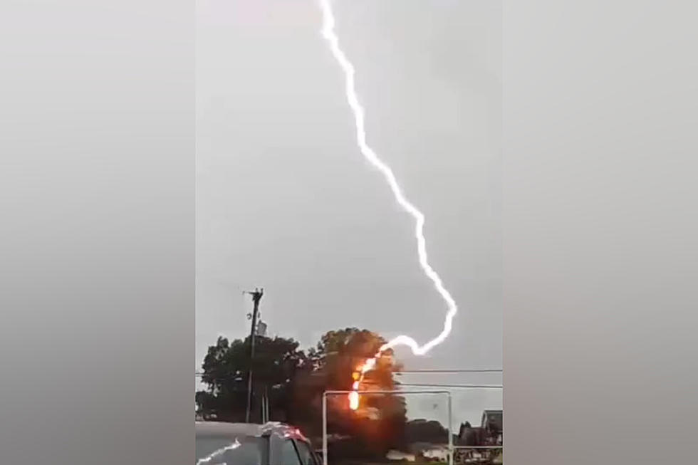 Watch Lightning Completely Electrify a Peoria, Illinois Tree