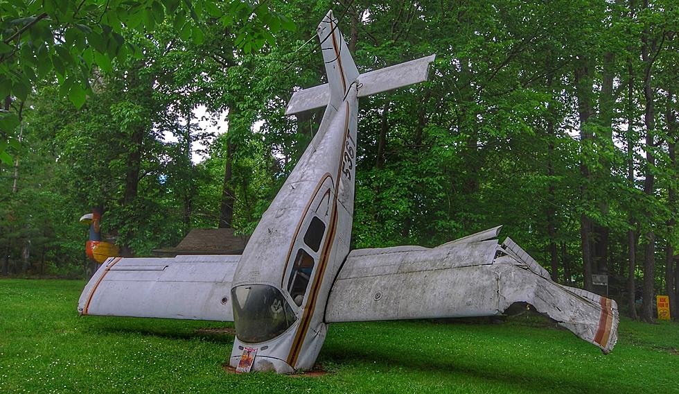 This Illinois Yard Might Have Weirdest Decorations Ever