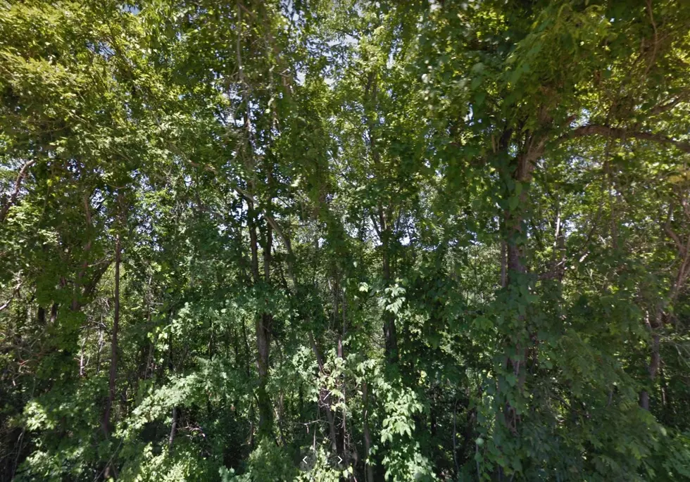 Google Maps Street View
