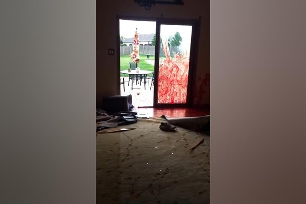 When a Deer Got into a Home in Illinois and Did $35,000 in Damage