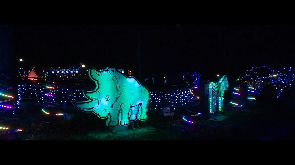 See the 'Wild' Christmas Lights on Display at the St. Louis Zoo