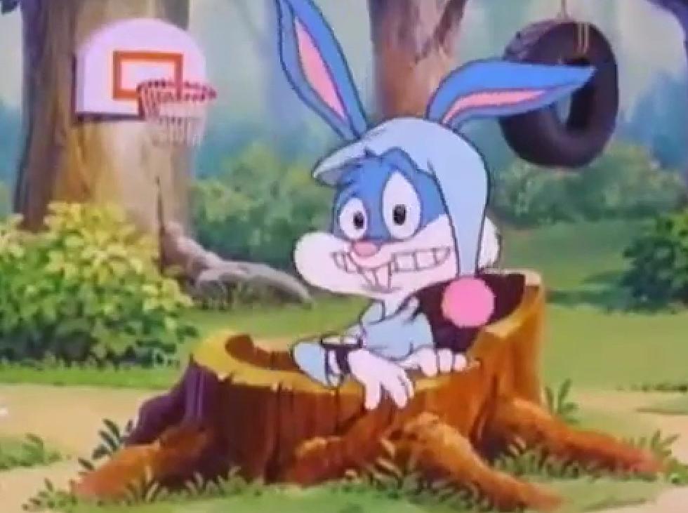 That Time When Tiny Toon Adventures Was Set in Missouri