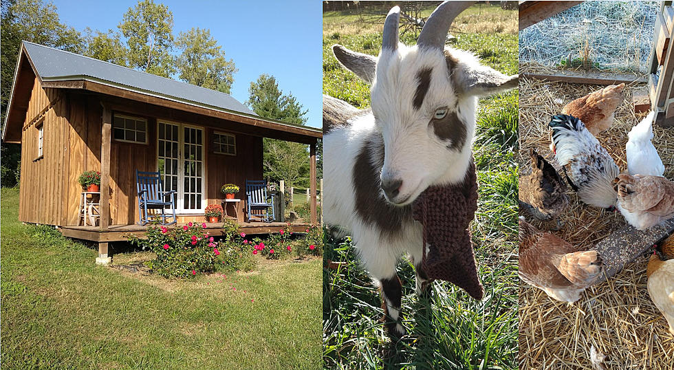 This Hermann, Missouri Airbnb Has Goats, Chickens and Kayaks