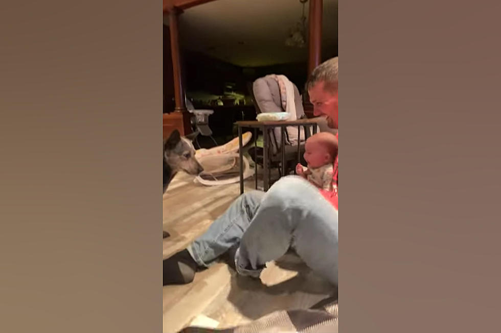 Missouri Baby Girl Finds Dog Fetching Absolutely Hysterical