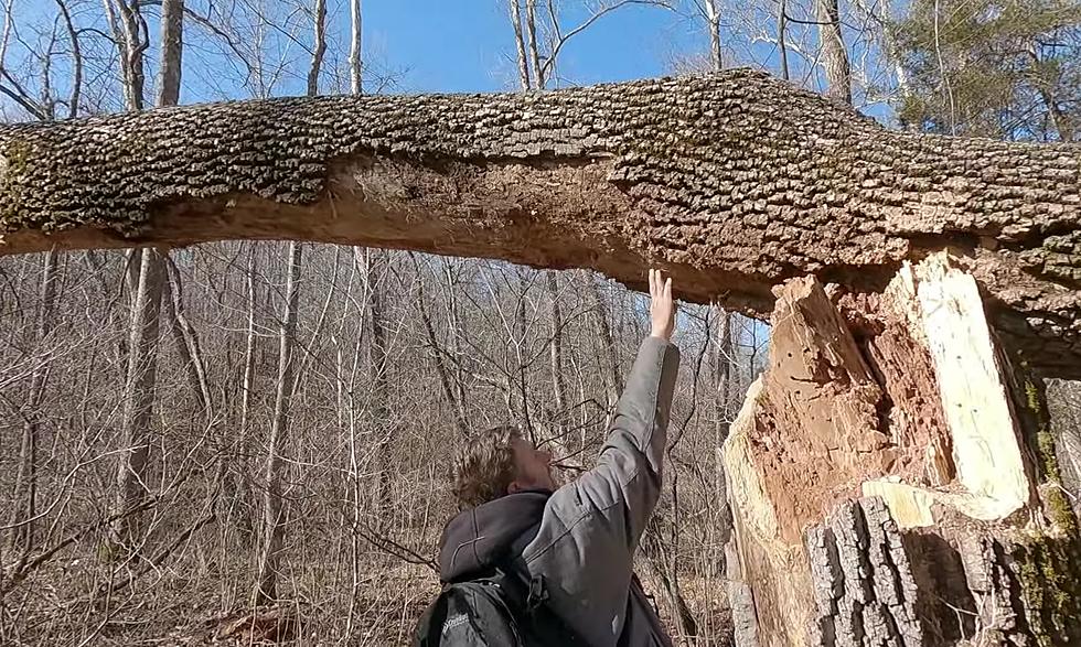 Missouri Guys Think They Found a Bigfoot Fort Near the Meramec