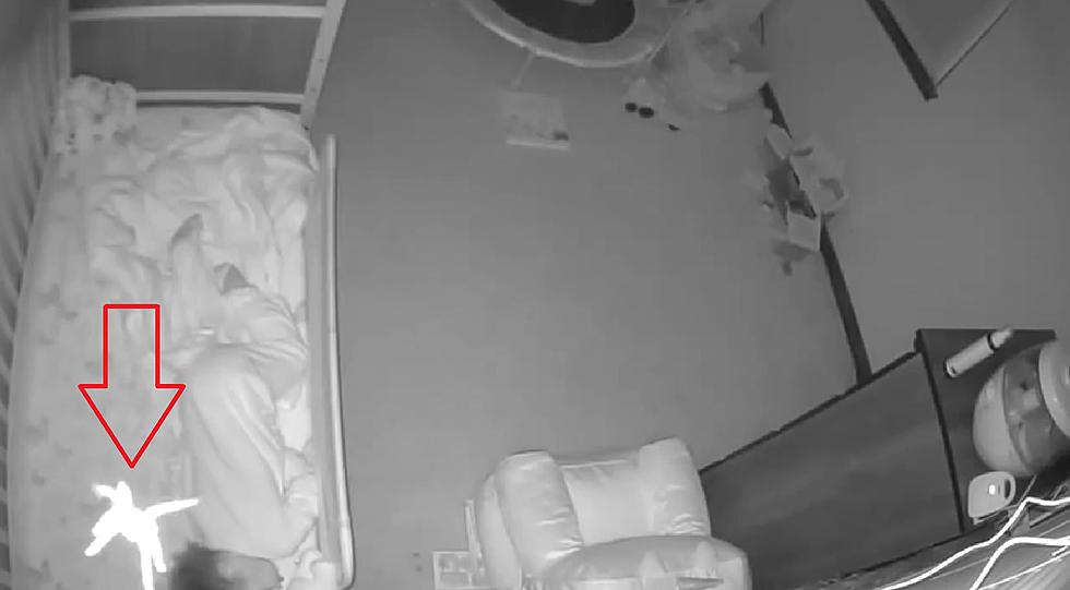 Nightmare Fuel – Spider Descends on Illinois Baby Security Camera