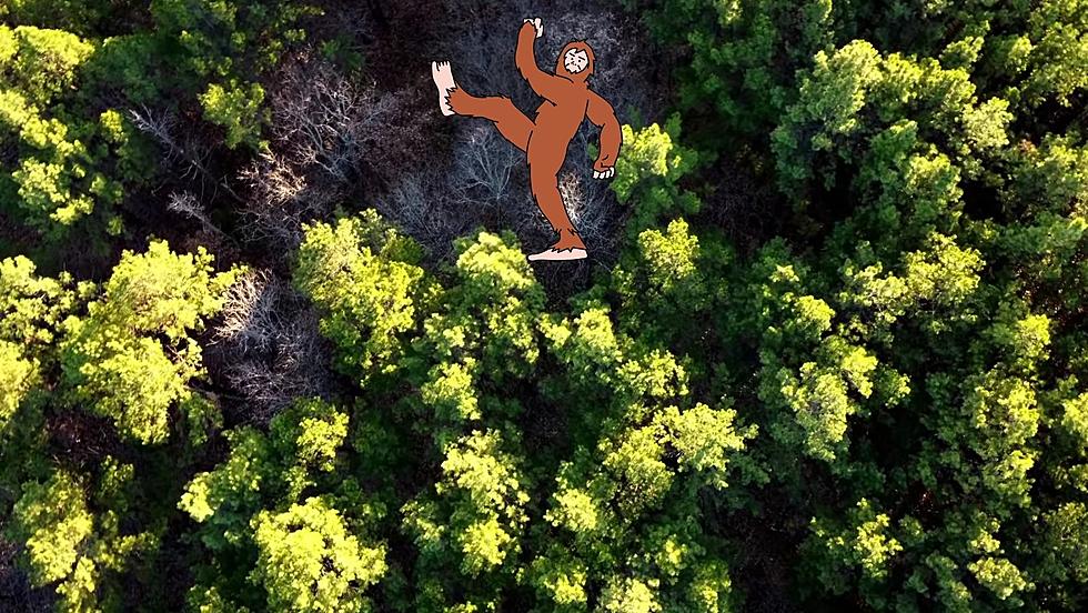 Listen to an Alleged Bigfoot Scream in Mark Twain National Forest