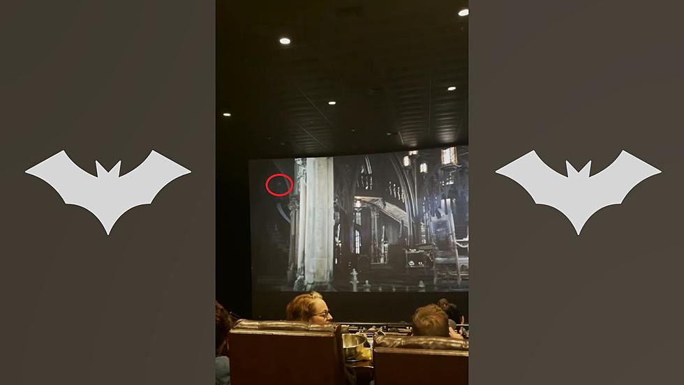 Watch a Bat Get Caught in a Theater Showing the New Batman Movie