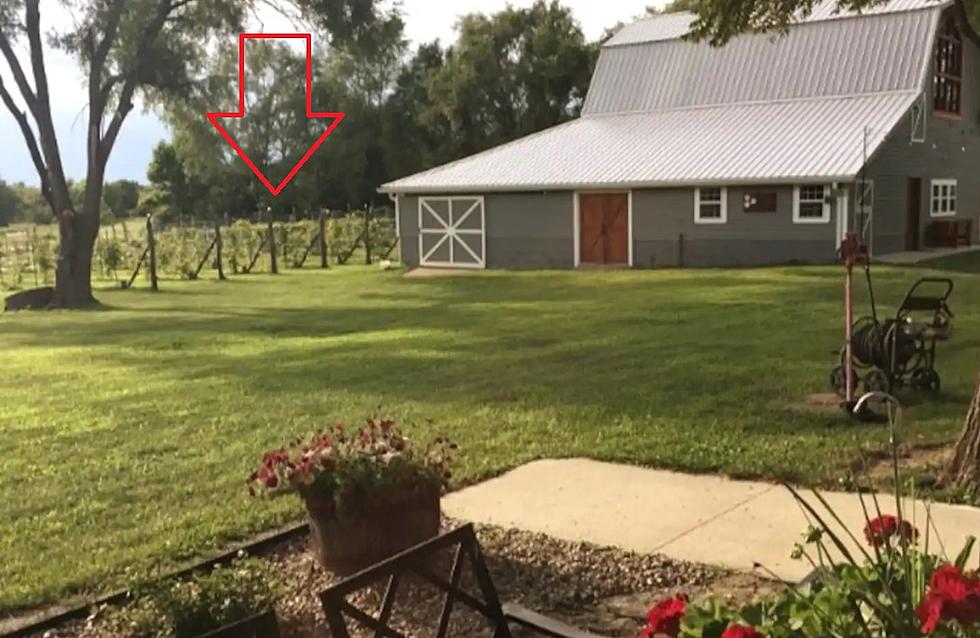Pics of a Rustic Missouri Barn Airbnb that Overlooks a Vineyard