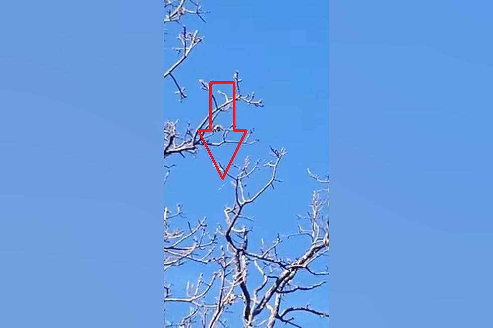 Watch a Missouri UFO Suddenly Disappear into a Clear Blue Sky