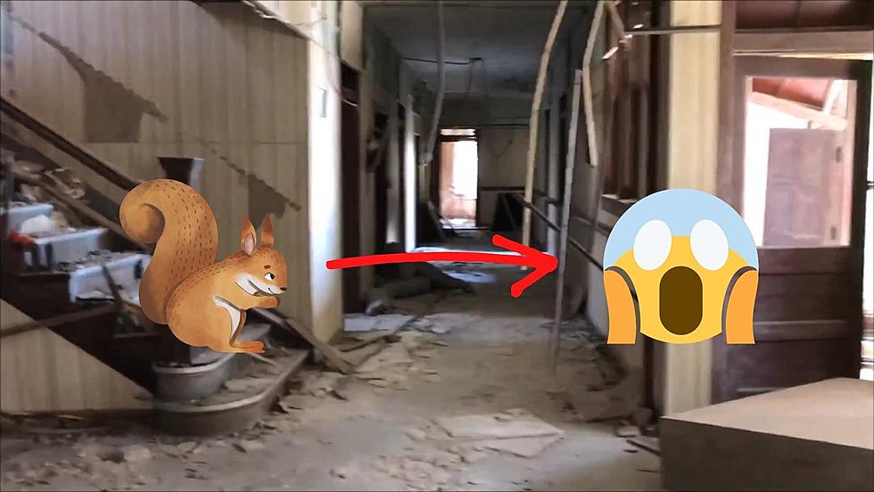 Explorer in Abandoned Missouri Hospital Gets Scared by Squirrel