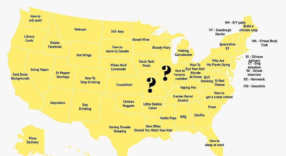 Here&#8217;s What Missouri and Illinois Googled During the Quarantine