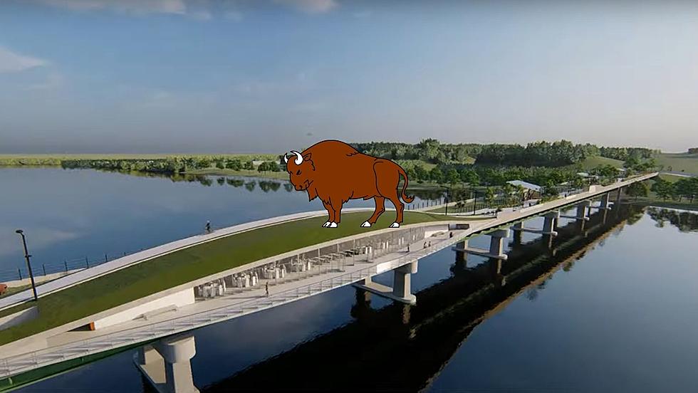 Illinois Wants to Build a Bison Bridge on I-80 and That’s No Bull