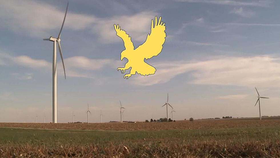 Illinois Wind Farms Found Guilty of Killing Eagles
