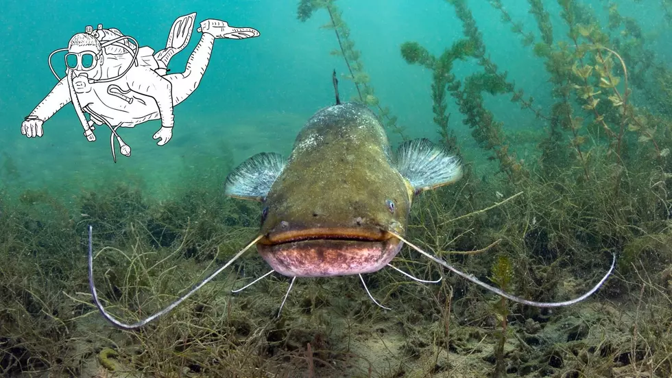 The Legend of the Mississippi River Catfish that Spit Out a Diver