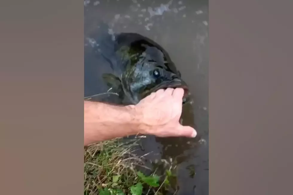 Watch a ‘Fish Whisperer’ Get His Hand Bitten By a Big Ole Bass