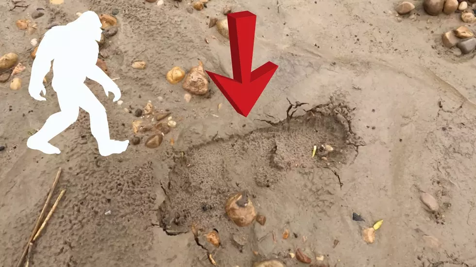 Illinois Man Shares Video of 140 Bigfoot Prints Near a Creek