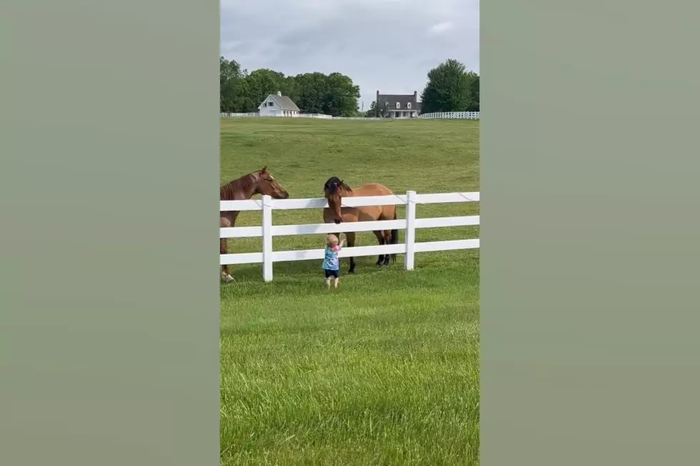 Watch a Young Midwest Boy Who’s 3 Best Friends are Horses