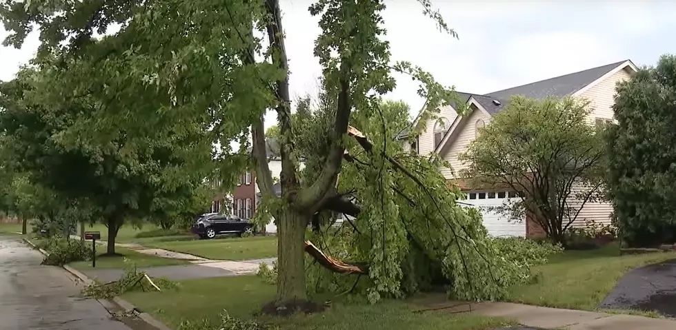 See Damage from Tornadoes Over the Weekend in Illinois