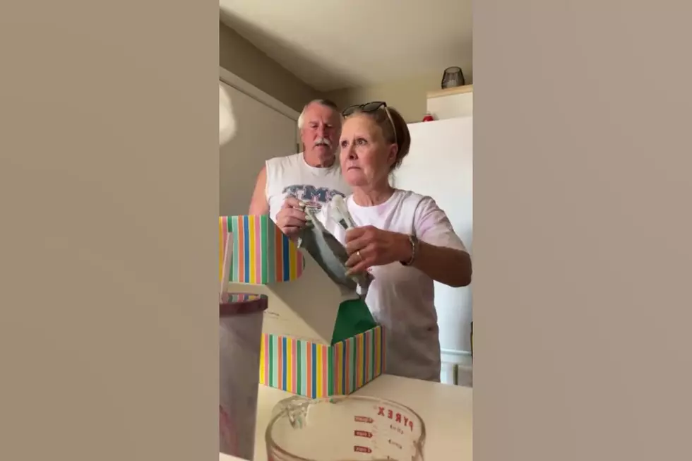 Watch Illinois Couple Learn They&#8217;re About to Become Grandparents