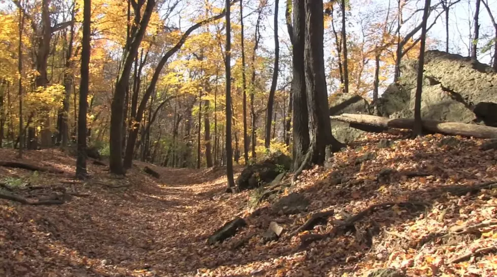 This Illinois State Park Named a Best Place to View Fall Colors