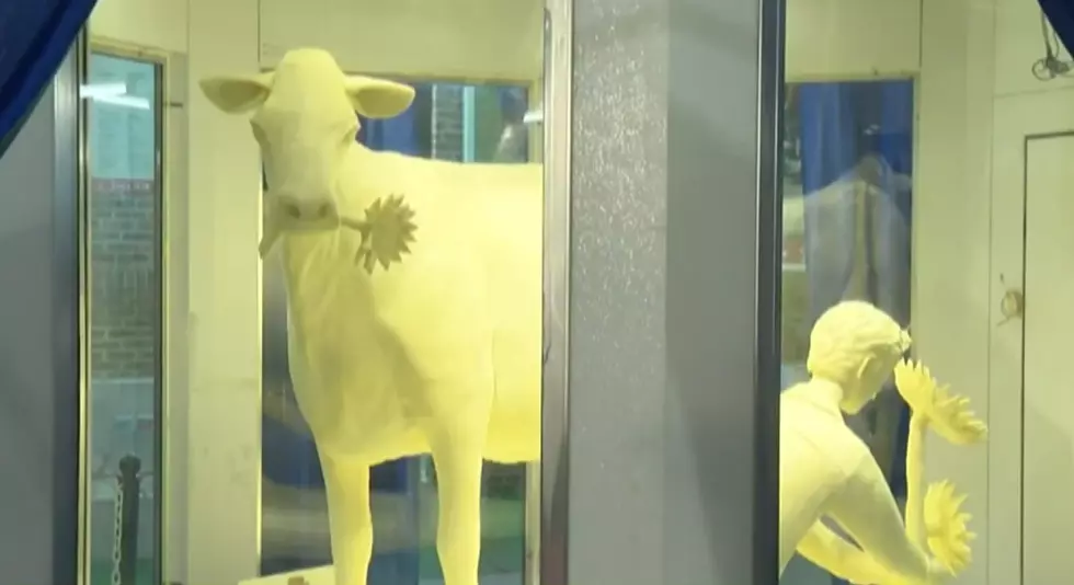 Behold the Huge 500 Pound Butter Cow at the Illinois State Fair