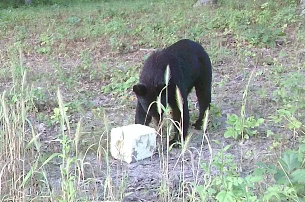 Missouri Outdoors via YouTube