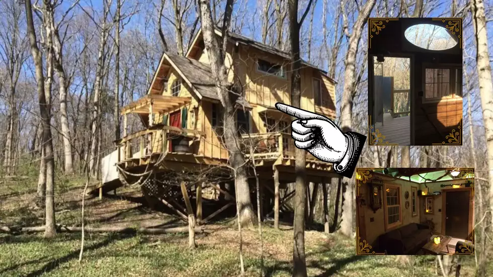 See Inside an Off-the-Grid Treehouse Hidden Away in Rural Nauvoo
