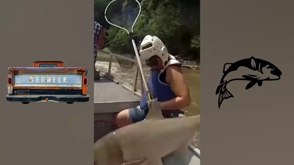 Watch Rednecks Rid Illinois Rivers of Invasive Evil Flying Carp