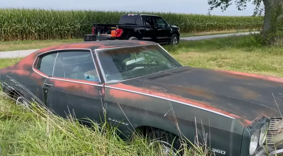 You would never think that you could find hidden inside a cornfield a