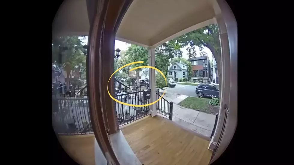Doorbell Camera Captures Video of Thugs Attacking Illinois Woman