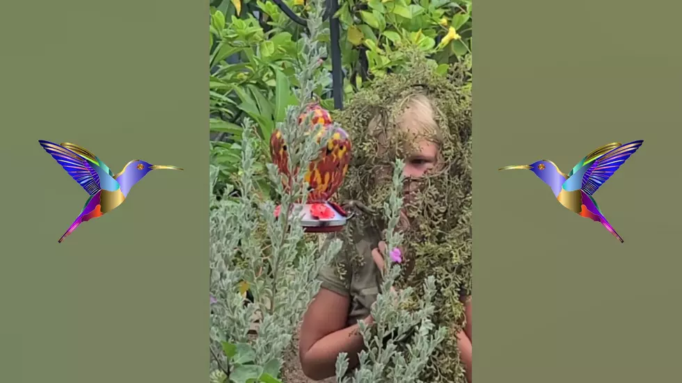 Watch a Girl Disguise Herself as a Plant to Watch Hummingbirds