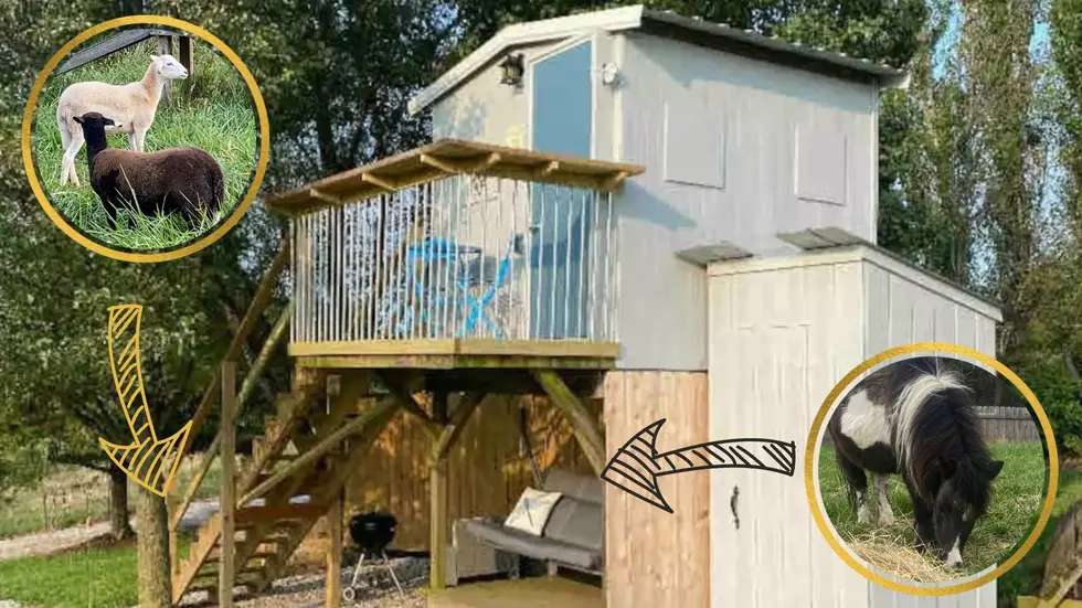 This Teeny Tiny Missouri Home Has Tiny Goats and Tiny Ponies, Too